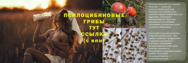 крисы Алексин