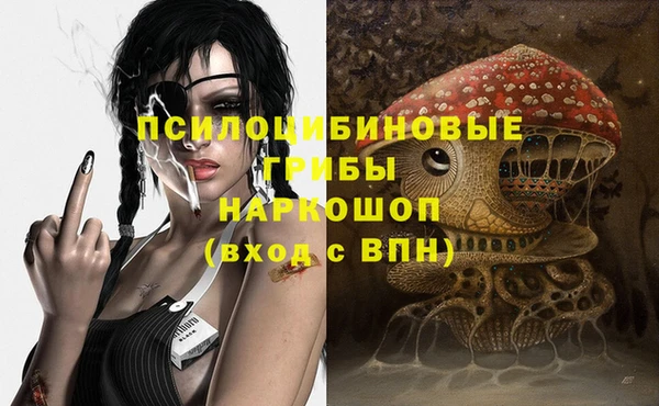 крисы Алексин