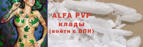 крисы Алексин