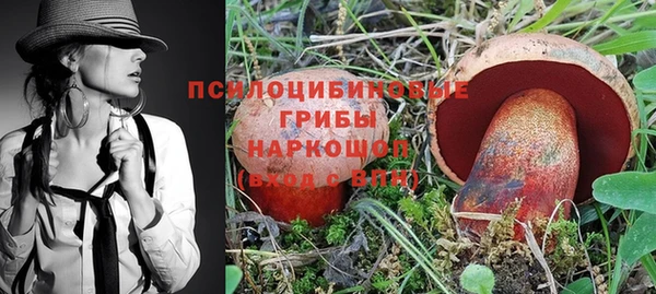 крисы Алексин