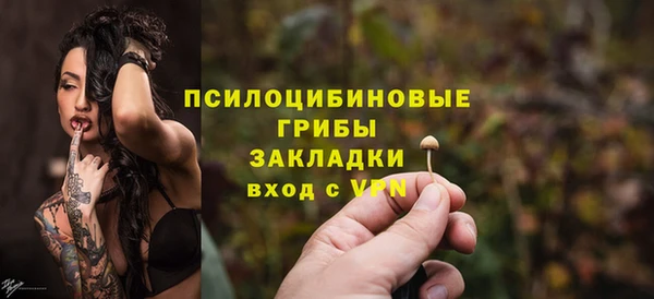 молекула духа Алзамай