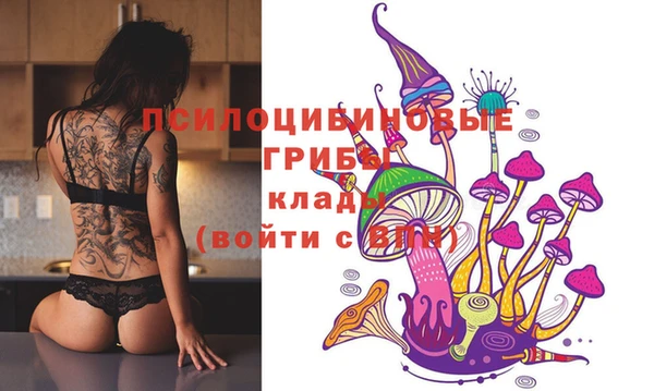 молекула духа Алзамай