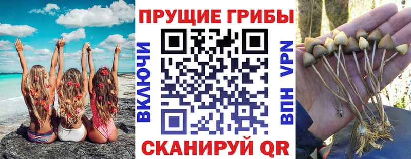 маркетплейс Telegram Ливны Псилоцибиновые грибы MAGIC MUSHROOMS