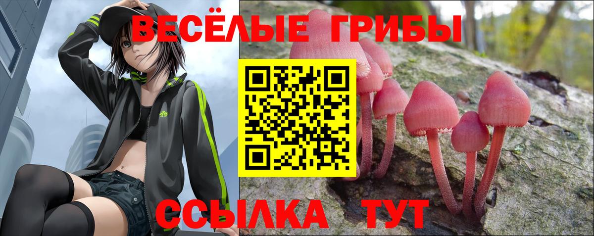 Галлюциногенные грибы Psilocybine cubensis Ливны