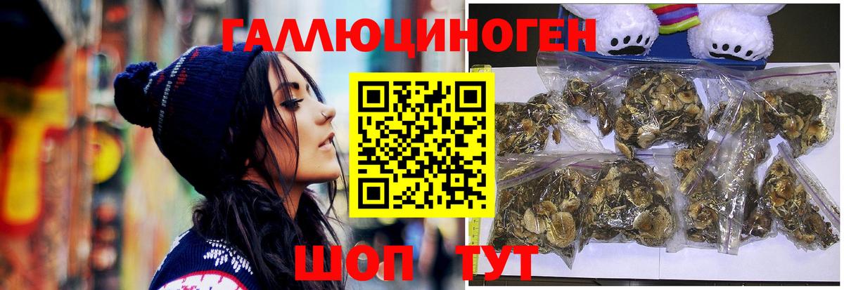 Ливны  Псилоцибиновые грибы мухоморы  Вход с VPN  Псилоцибиновые грибы Psilocybine cubensis 